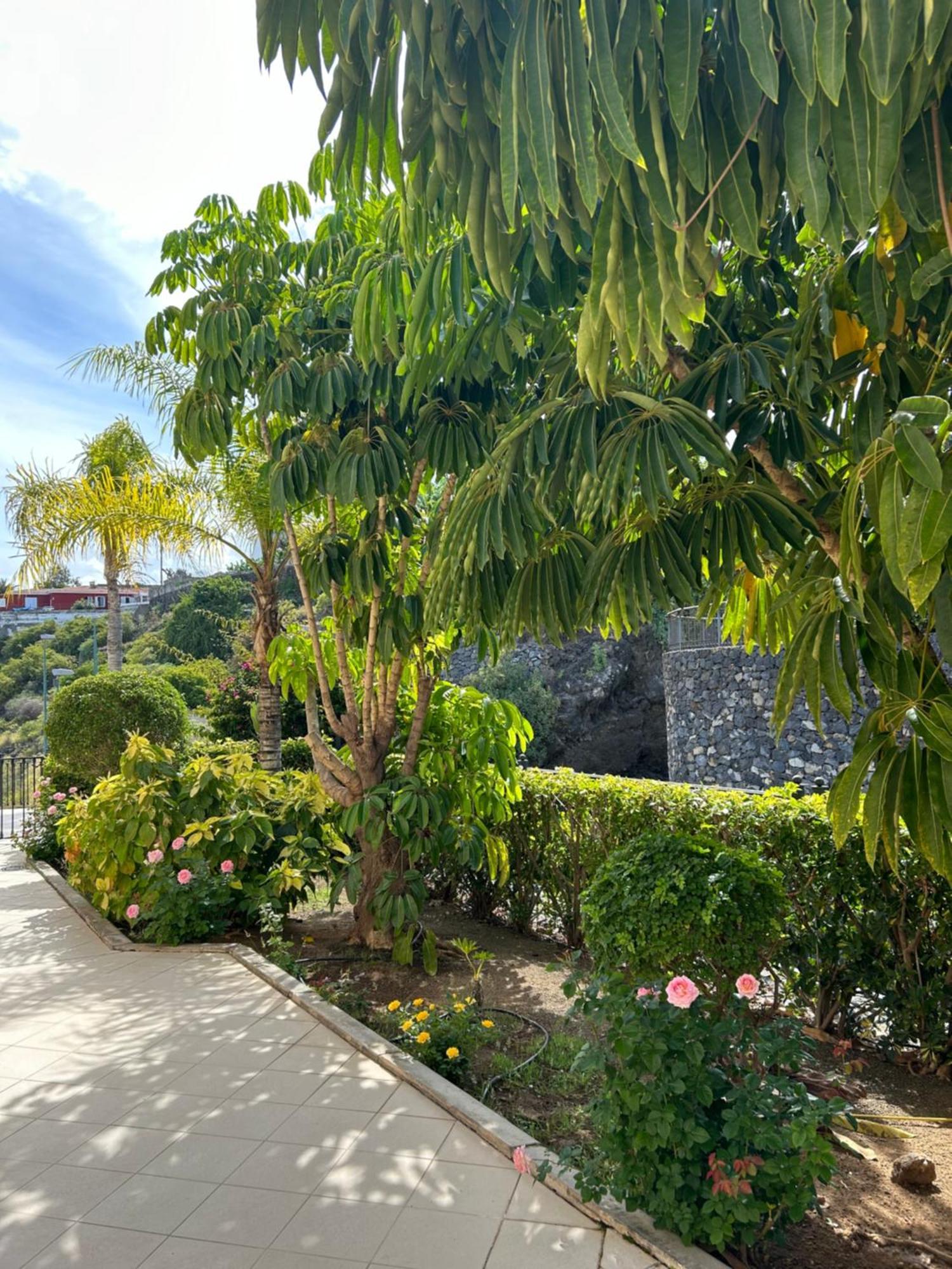 Hermosa Vista Puerto de la Cruz  Exteriör bild